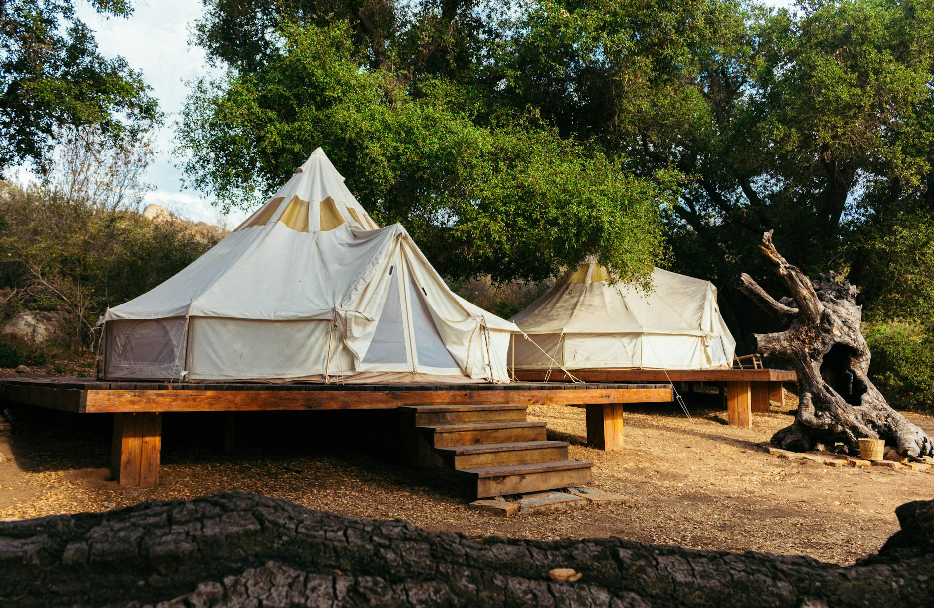 Two spacious canvas tents on a wooden platform in a serene forest setting, ideal for a summer escape.