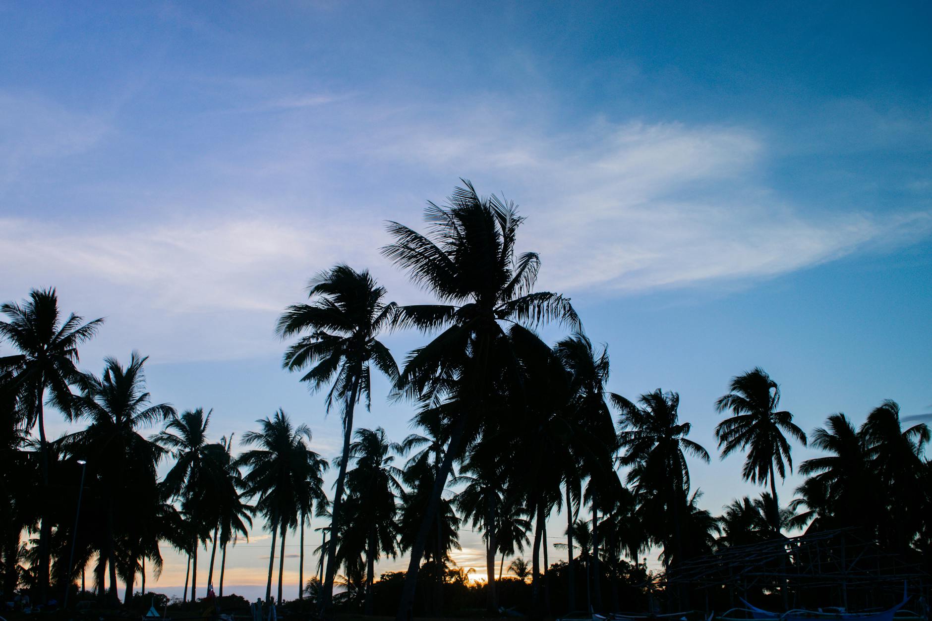 Silhouetted palm trees against a vibrant beach sunset sky, evoking a serene summer vibe.