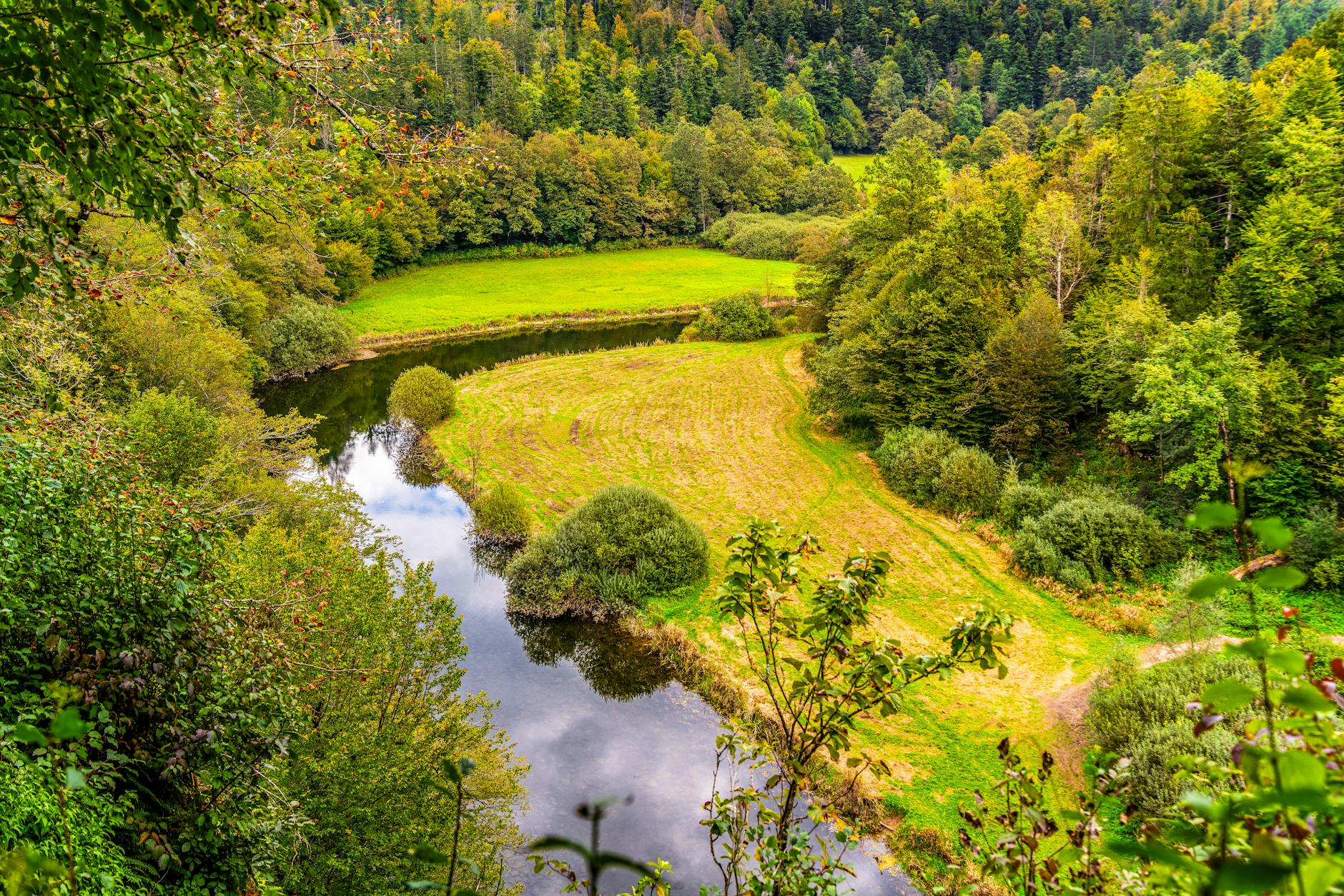 Tranquil river bend encircled by vibrant trees and lush grass, perfect for nature enthusiasts.
