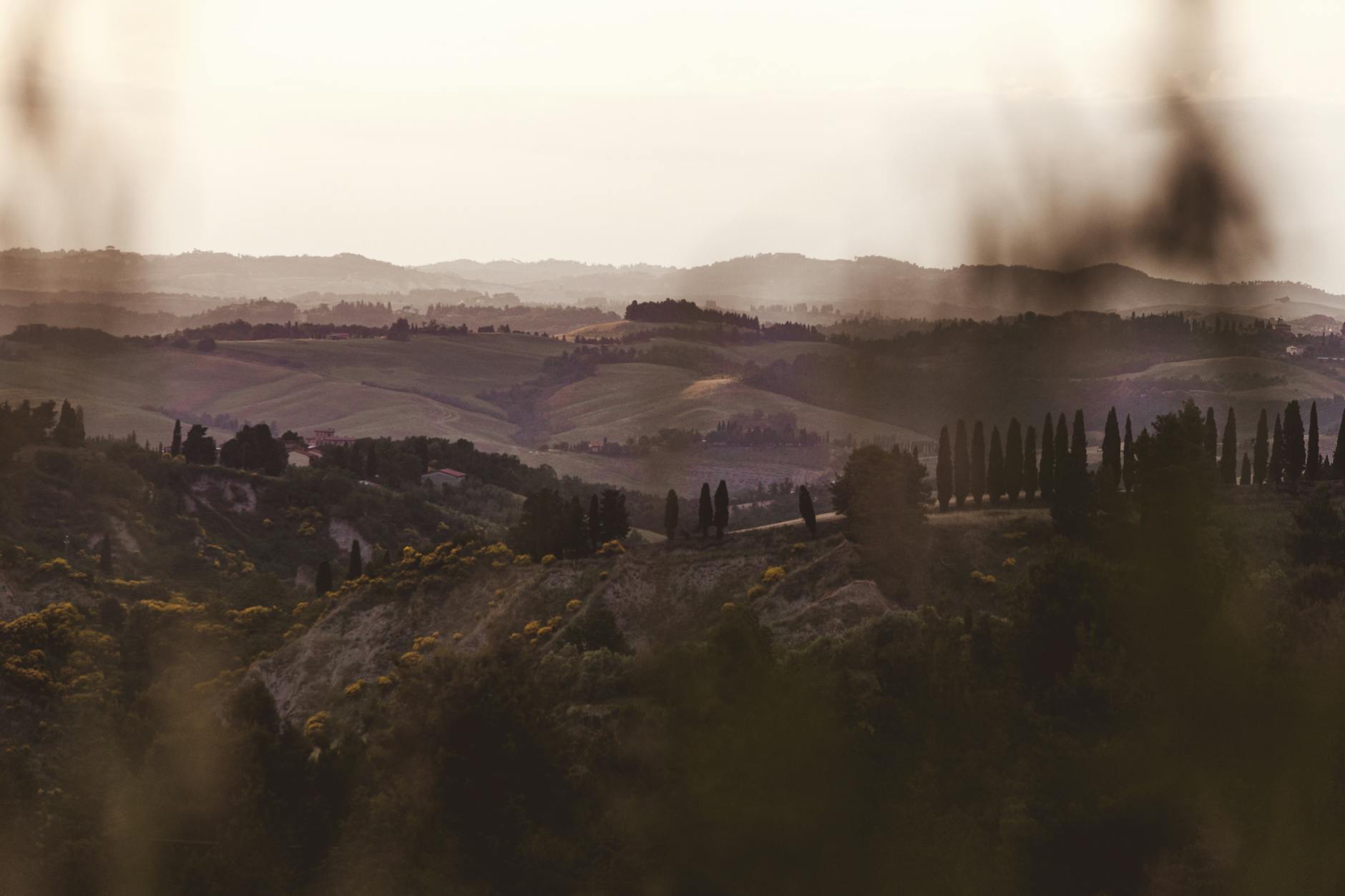 Breathtaking view of Tuscan hills and cypress trees at sunset, creating a serene landscape.