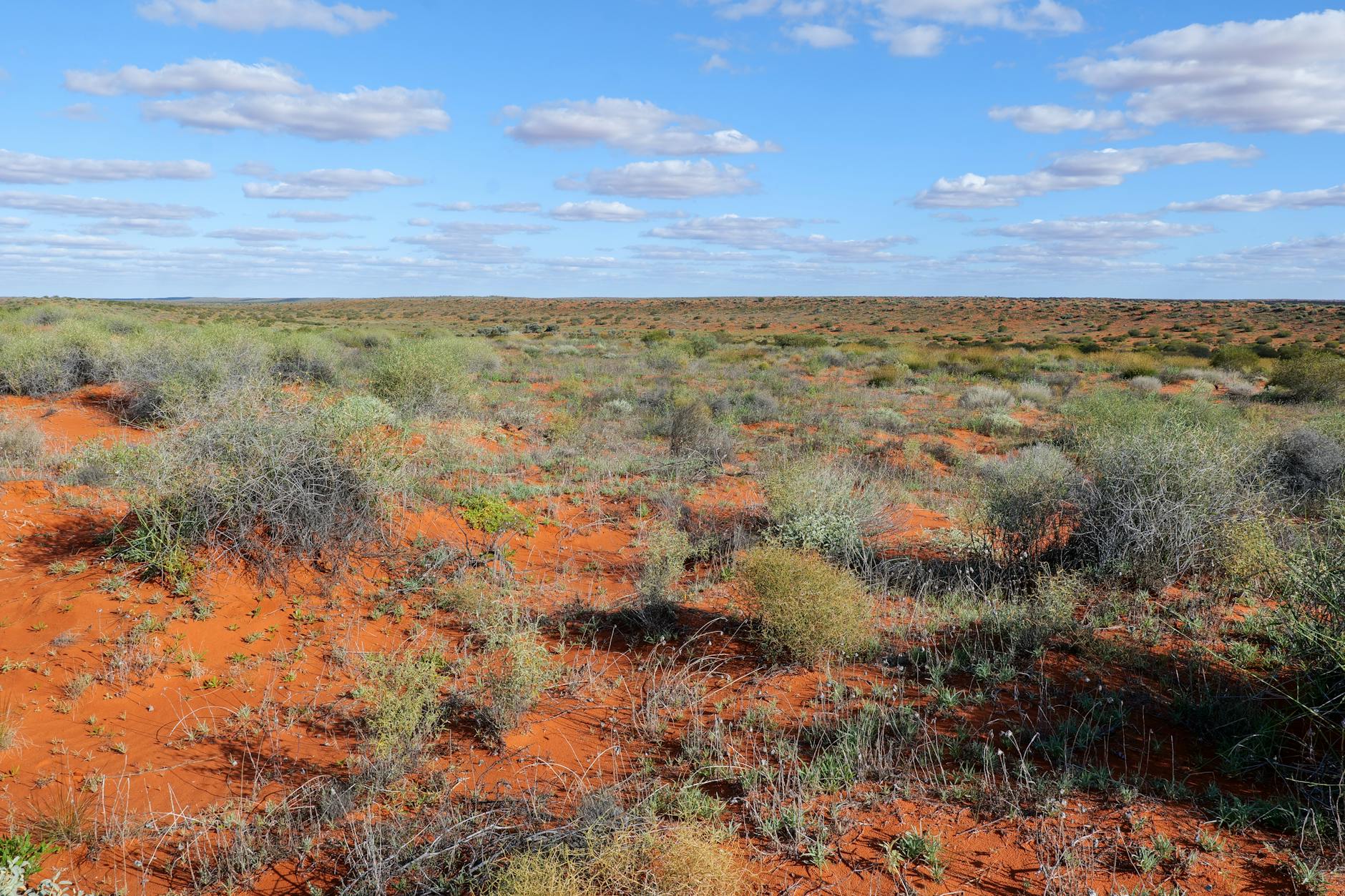 Expansive view of the Australian outback featuring red soil and scattered bushes under a blue sky.